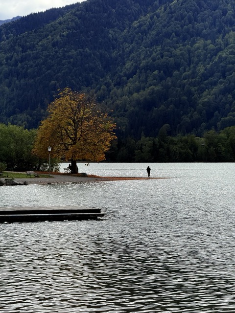 DocSem'26 Fall in Schliersee